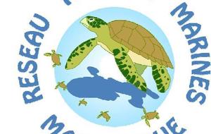 Réseau tortues marines