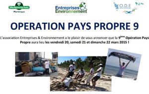  Association Entreprises &amp; Environnement - Résultat édition 2015
