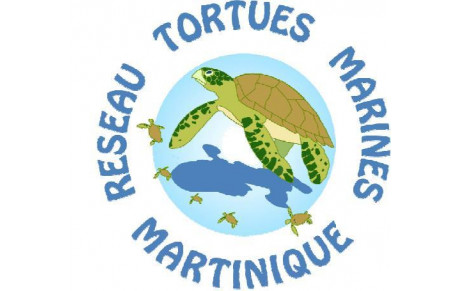 Réseau tortues marines