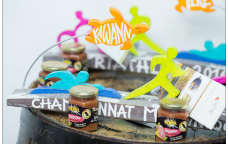 RESULTATS TRIATHLON 2016